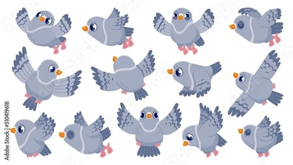 Fototapeta Flying pigeon. Cartoon bird character in flight, cute mascot with funny face, colorful flat dove animal clip art. Vector pigeon collection isolated on white