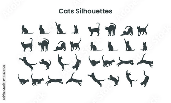 Fototapeta Black cats silhouettes set for Halloween and others. Cat shapes are isolated on white background. Stock vector