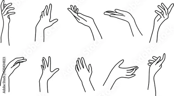 Fototapeta palm and hand line art set; reach out, hold out, element icon set