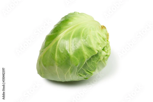 Obraz Cabbage isolated on white background.