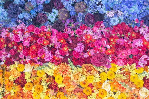 Fototapeta Flowers mix.Colorful flower background with red, yellow and blue.