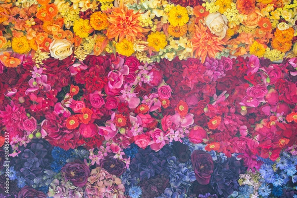Fototapeta Flowers mix.Colorful flower background with red, yellow and blue.