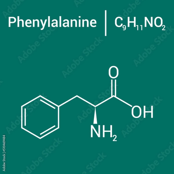 Fototapeta chemical structure of Phenylalanine (C9H11NO2)