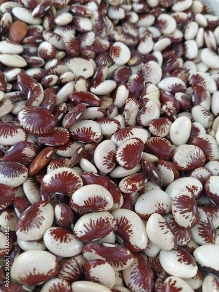 Obraz Beans and grains background