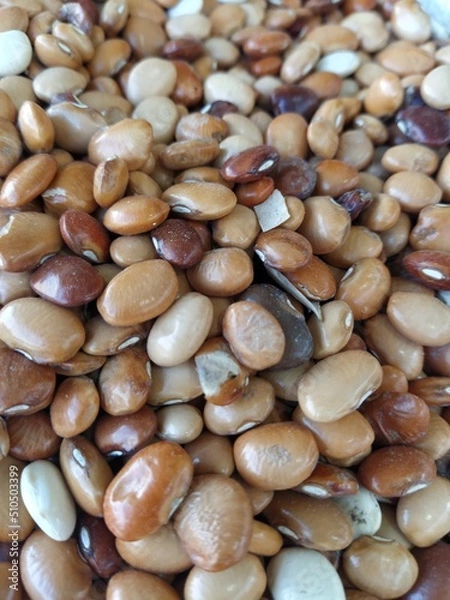 Obraz Beans and grains background