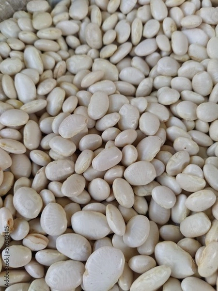 Obraz Beans and grains background
