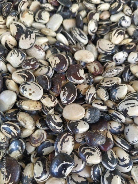 Obraz Beans and grains background