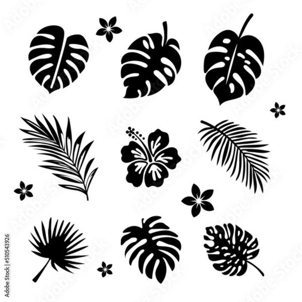 Fototapeta Set of vector clipart of the exotic leaves and flowers. EPS10