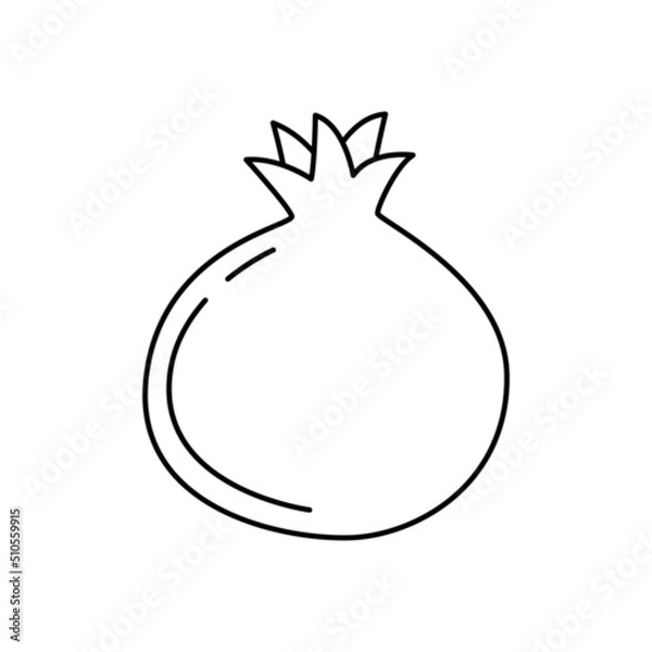 Fototapeta Pomegranate fruit icon in line style icon, isolated on white background
