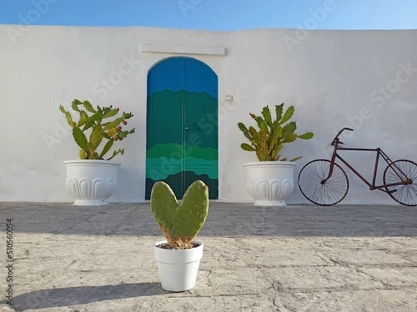Fototapeta Blue door in Ostuni  and a heart shaped cactus