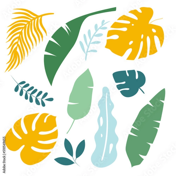 Fototapeta Vector hand drawn set of tropical leaves. Monstera, banana leaves, branches. Clipart set on a white background.