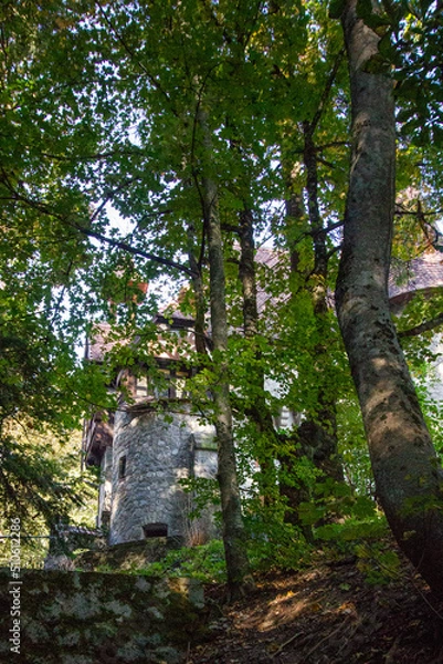 Obraz old stone tower visible truth forest