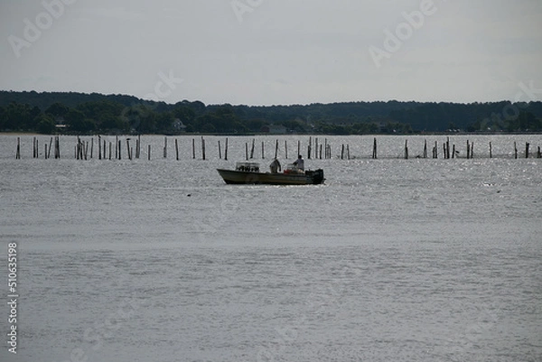 Fototapeta crab boats with crew crabbing on Chesapeake Bay