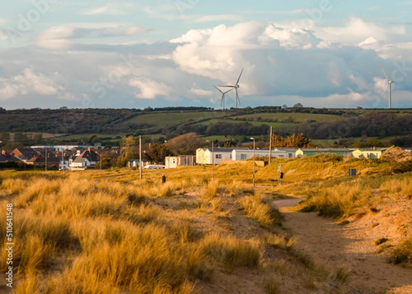 Fototapeta Cloudy day with wind mills and wind swept brush 