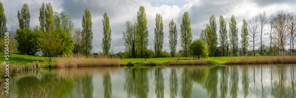 Fototapeta Panorama of a row of poplar trees with reflection in lake water at Marais Poitevin, Charente Maritime, France