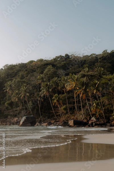 Obraz landscape coconut tree