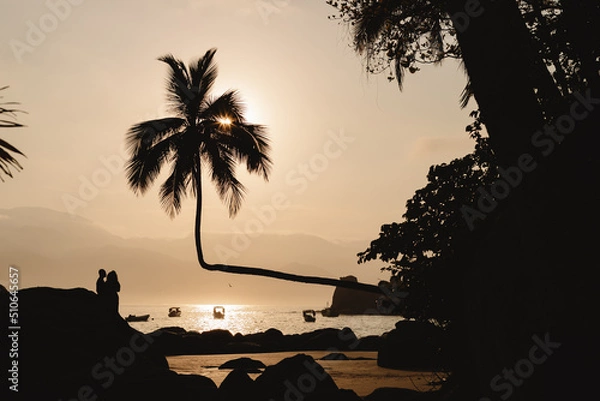 Obraz landscape coconut tree