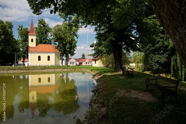 Obraz Mažice
