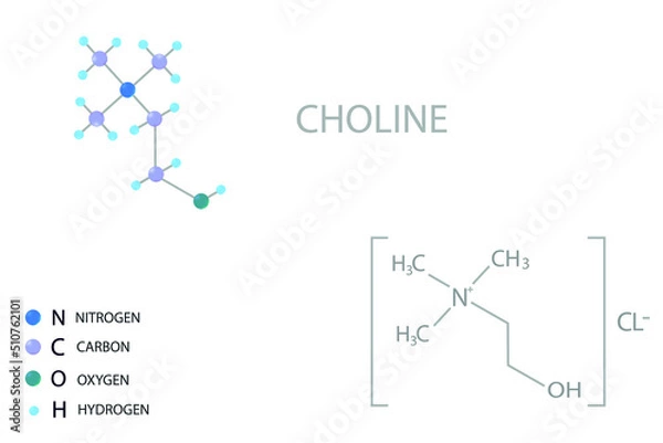 Fototapeta Choline molecular skeletal 3D chemical formula.	