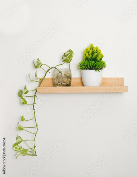 Obraz flower in a vase