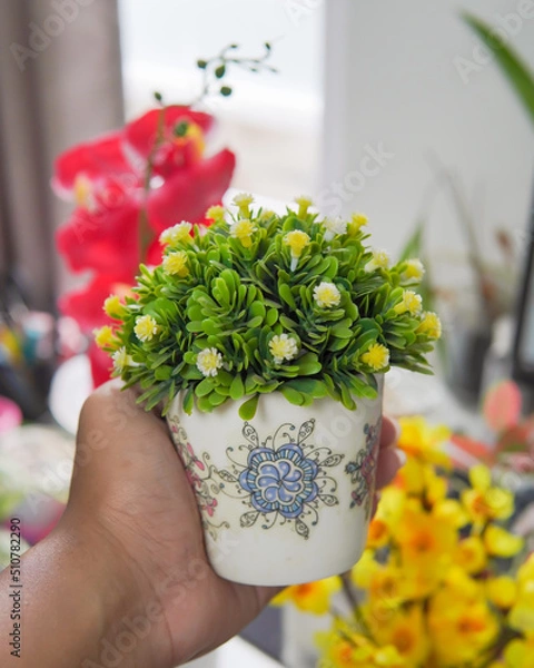 Obraz flowers in a hand