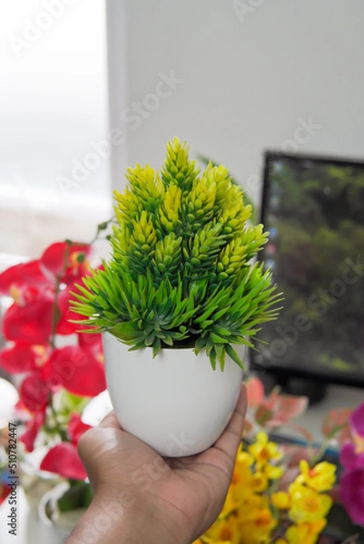 Obraz plant in a pot