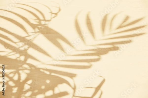 Obraz Blurred shadows from natural palm leaves on a light wood texture in beige colors.