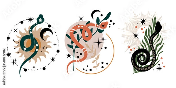 Fototapeta Set of boho design elements with snakes. Trendy witchy illustration. Mystical logo in a minimalist style. Cosmic minimalistic background