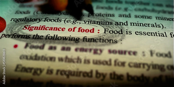 Obraz Nutritional education information in text form learning background.
