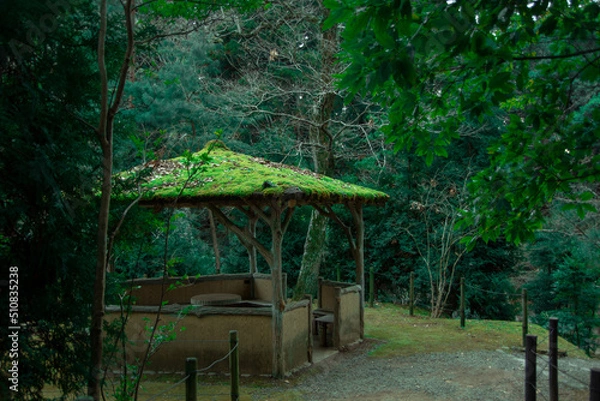 Obraz ジブリのような景色