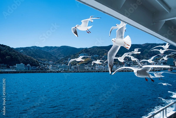 Obraz 船に群がるカモメ