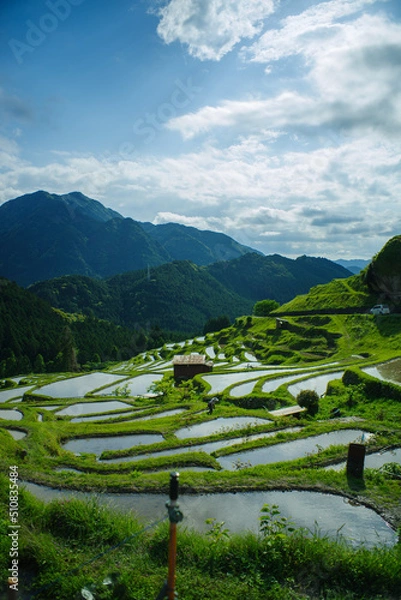 Obraz 丸山千枚田