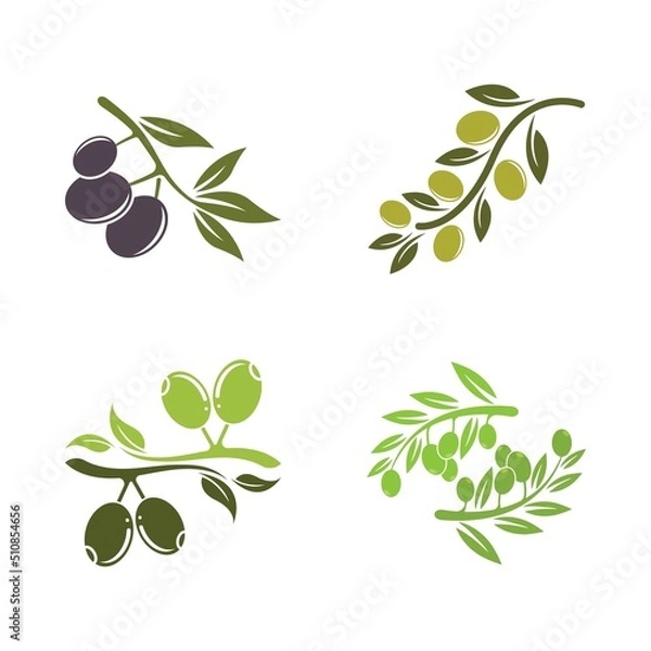 Obraz olive icon vector illustration