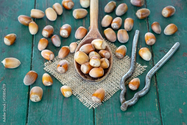 Fototapeta Hazelnut group on a rustic wooden table, delicious healthy snack