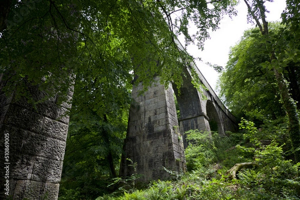 Fototapeta Treffry Viaduct 19th century industrial remains and World Heritage Site The Luxulyan Valley or Glynn Gwernan meaning alder tree valley River Par  Cornwall England UK 