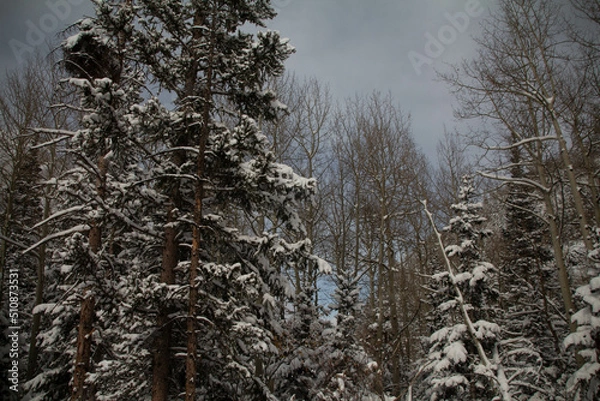 Fototapeta Snow covered mountains