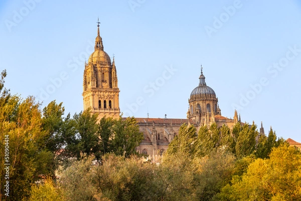 Fototapeta Partial View of Salamanca Cathedral behind the trees of the river Tormes at sunset