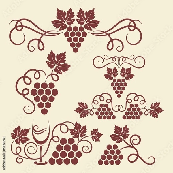 Fototapeta Decorative grape vine elements for design