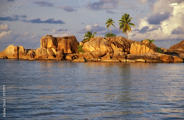 Obraz palms on the rocks