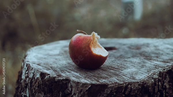 Obraz a bitten apple on a wooden table