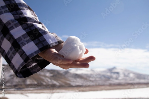Obraz Snowball in hand