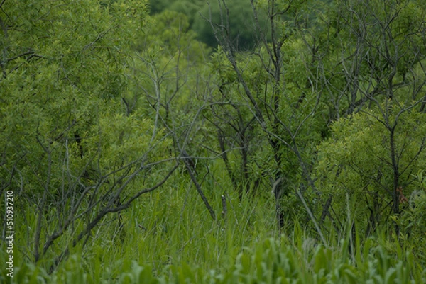 Fototapeta 양양여행