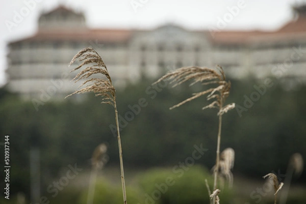 Fototapeta 양양여행