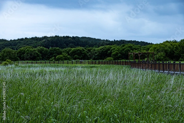 Fototapeta 양양여행