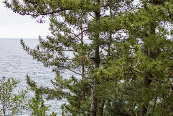 Fototapeta 양양여행