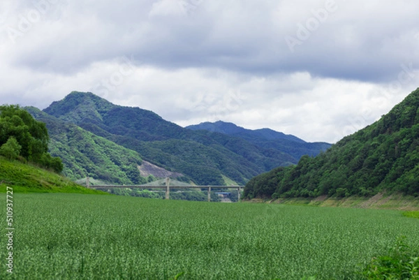 Fototapeta 양양여행