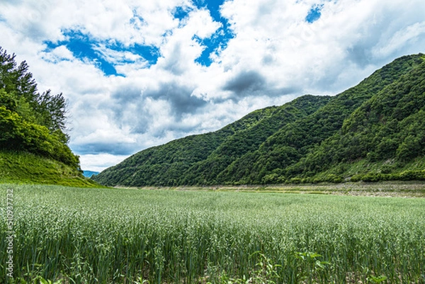 Fototapeta 양양여행