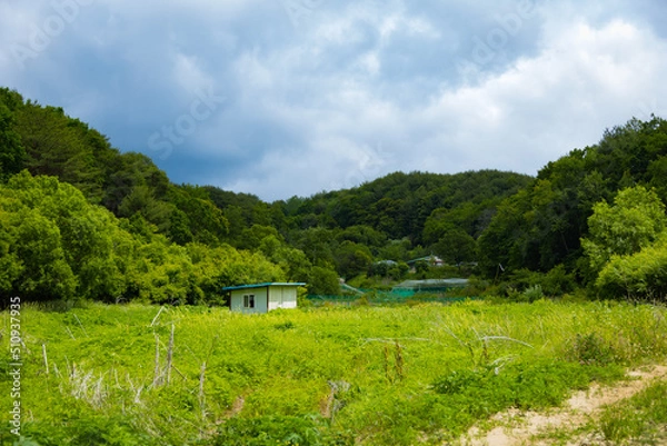 Fototapeta 양양여행