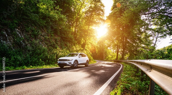 Fototapeta highway into Silent Forest in spring with beautiful bright sun rays