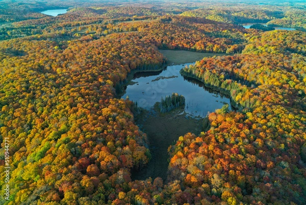 Fototapeta Aerial shot of Lakes, ponds & forests in autumn